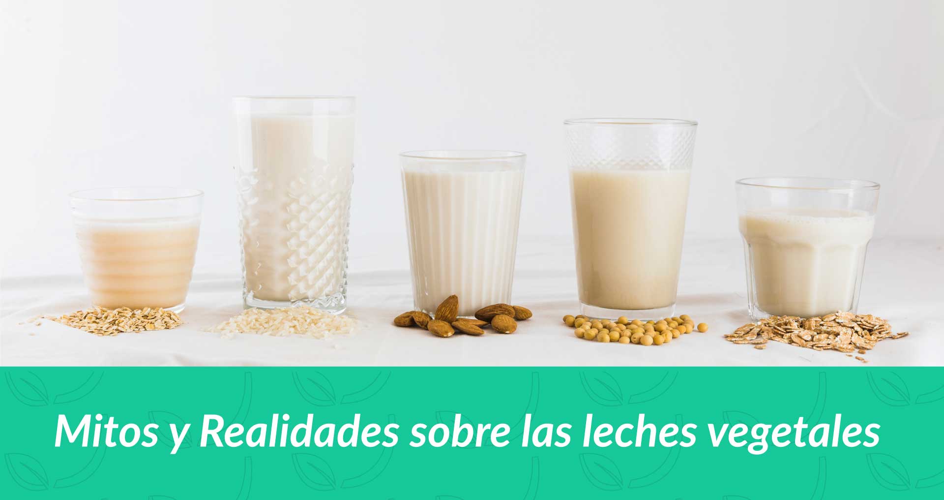 Mitos y Realidades sobre las leches vegetales