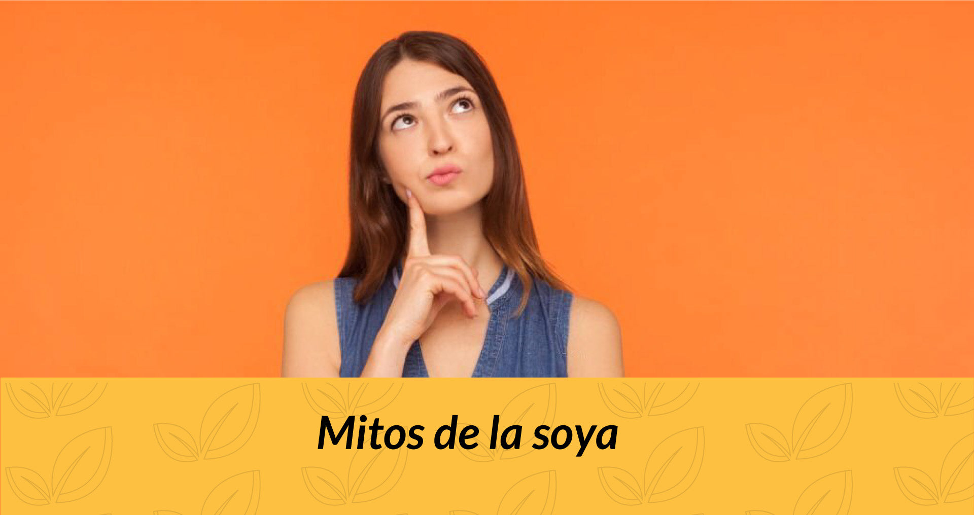 Mitos de la soya