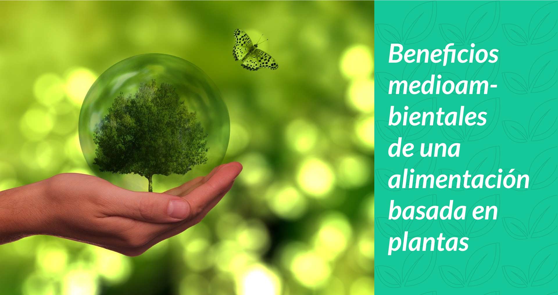 Beneficios Medioambientales