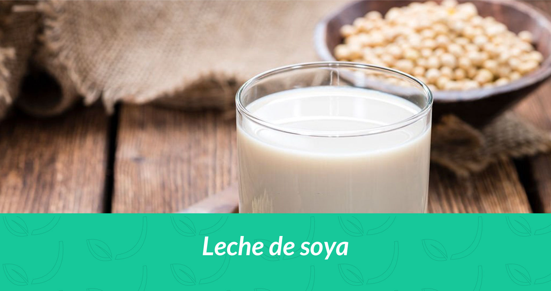 Leche de soya