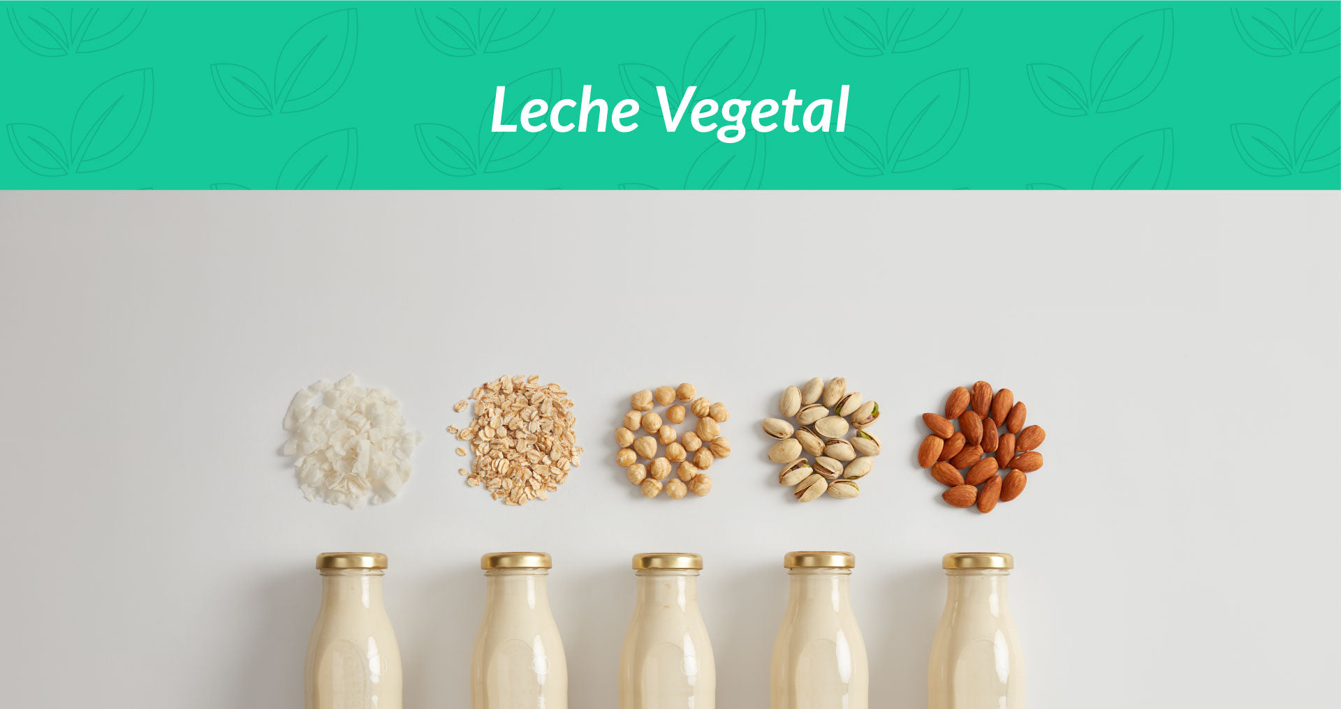 Leche Vegetal