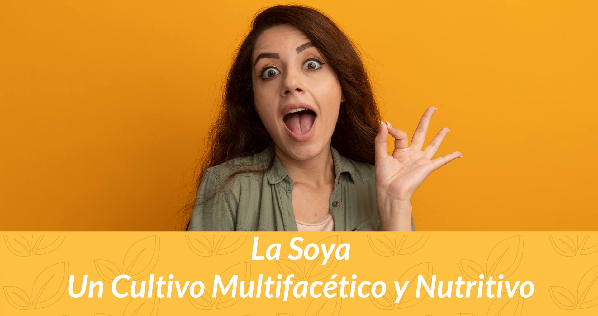 La Soya Un Cultivo Multifacético y Nutritivo