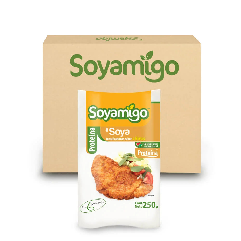 Caja de 24 piezas Soyamigo Sabor Bistec 250g